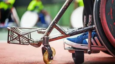 Dragons Catalans - Pandas de Montauban