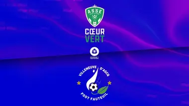 Saint-Etienne - Villeneuve d'Ascq