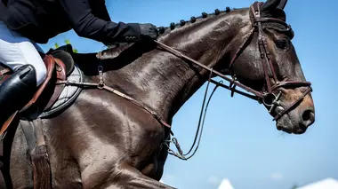 Les meilleurs moments