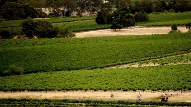 Tour Down Under féminin