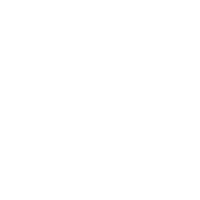 Dijon W