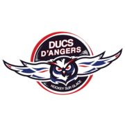 Ducs d’Angers